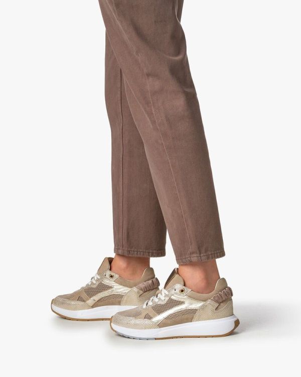Floris van Bommel Suvi dames sneaker goud | Bonne Shoe