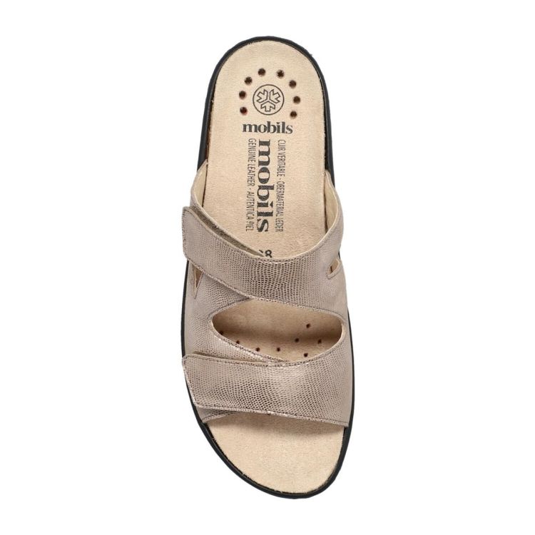  (GEVA ARTESIA 8118 LIGHT TAUPE) - Bonne Shoe Online