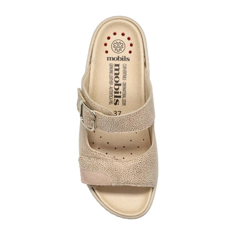  (RANDYA STONE 48532/VELCALF PR. 12232N SA) - Bonne Shoe Online